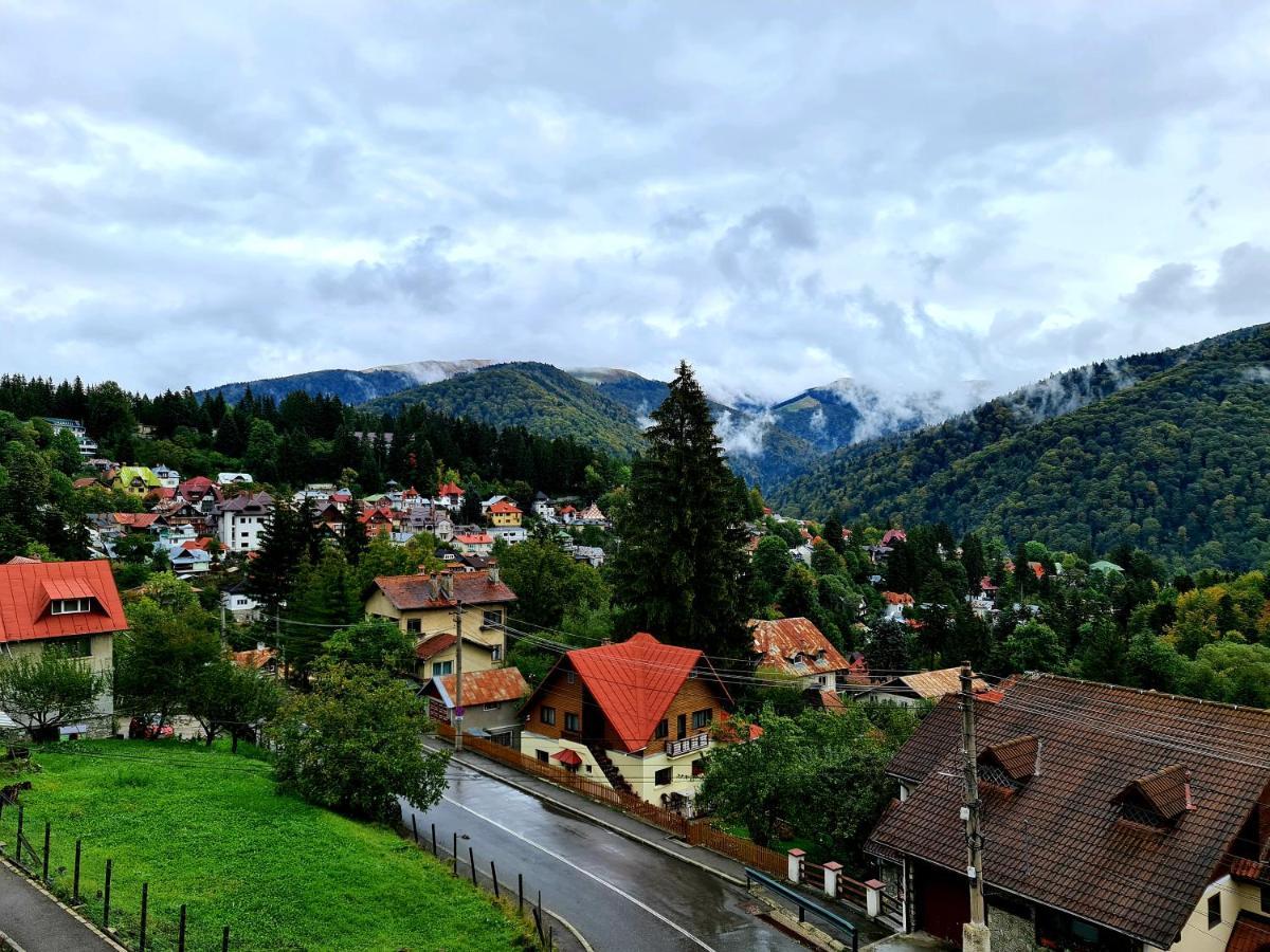 Opus View